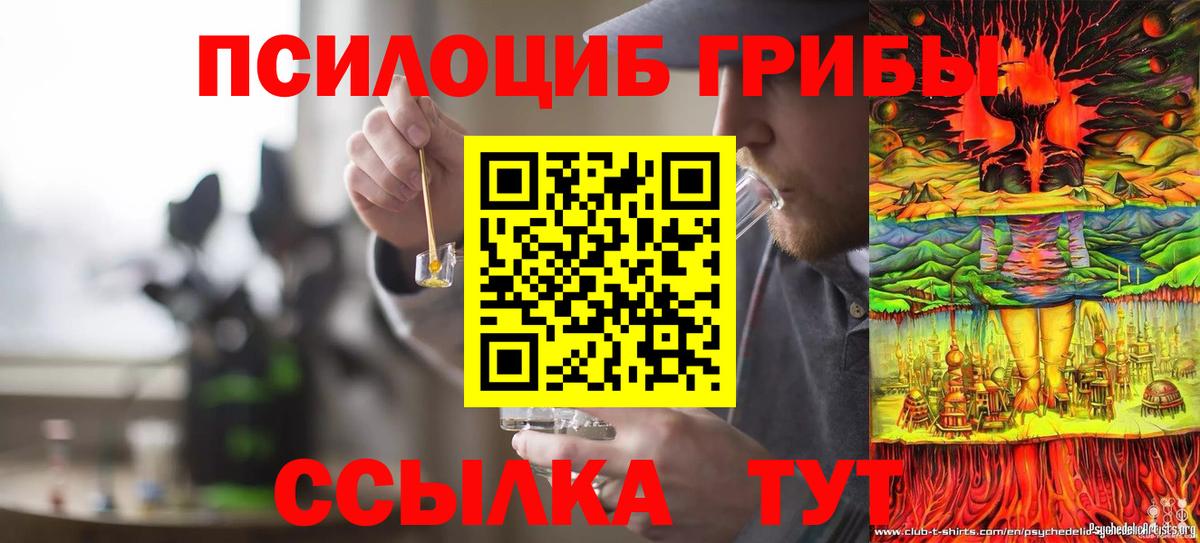 Псилоцибиновые грибы Cubensis Севастополь