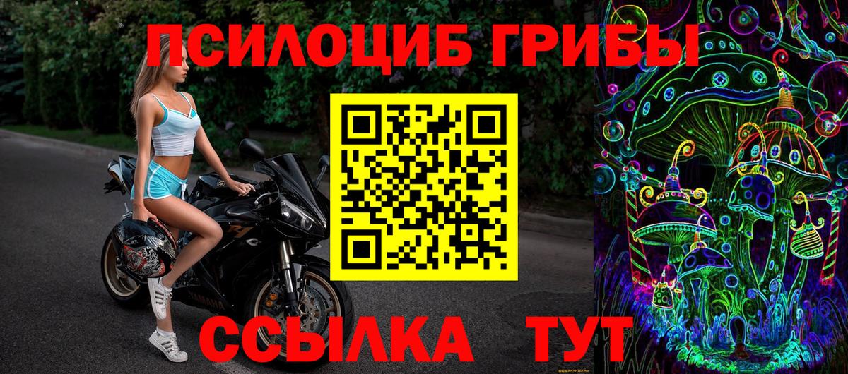 Псилоцибиновые грибы Cubensis  Галлюциногенные грибы Cubensis  Вход с VPN  Севастополь 